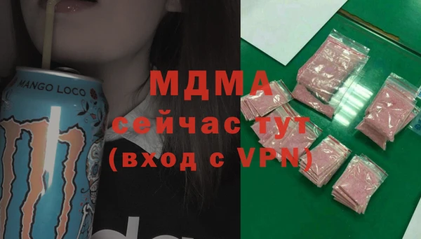 стаф Верея