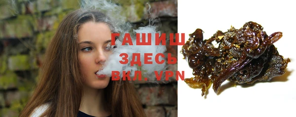 стаф Верея
