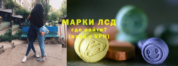 стаф Верея