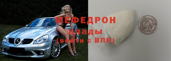 стаф Верея