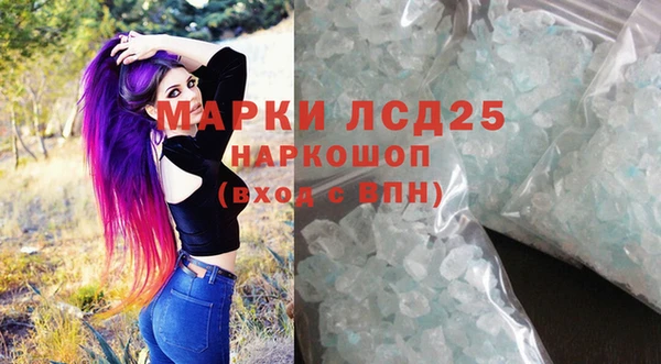 стаф Верея