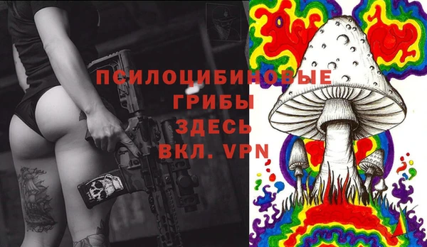 стаф Верея