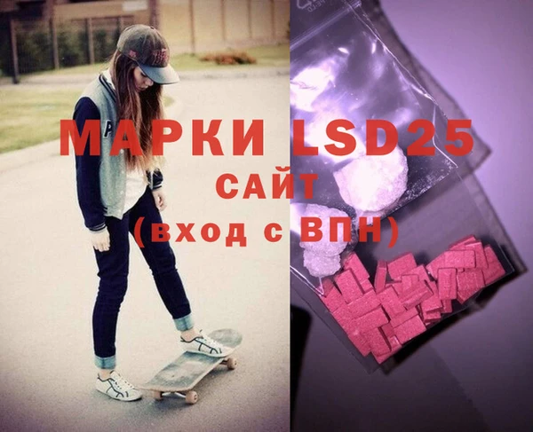 стаф Верея