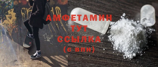 стаф Верея