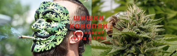стаф Верея